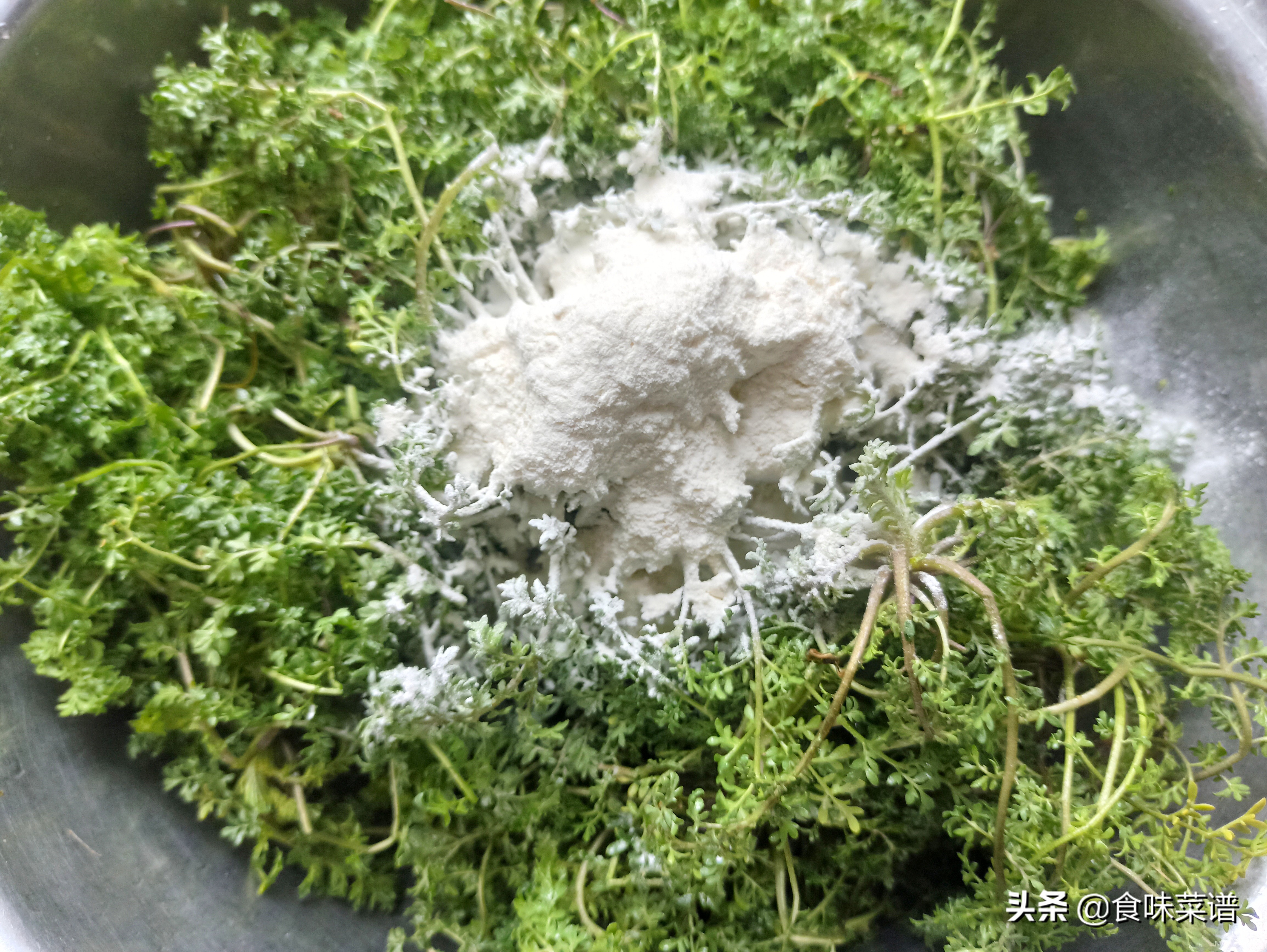 春天家常蒸菜100道不上火,春季有哪些蒸菜做法好吃