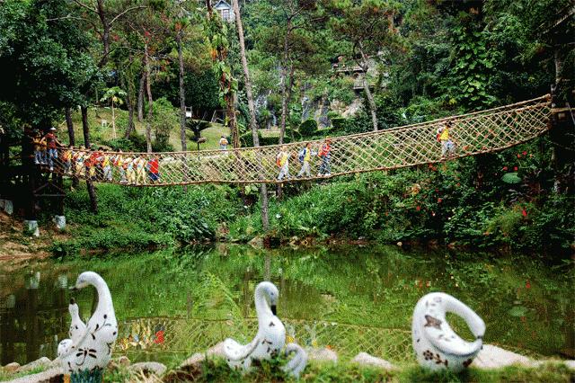 深圳南山区青青世界视频,青青世界深圳热带雨林