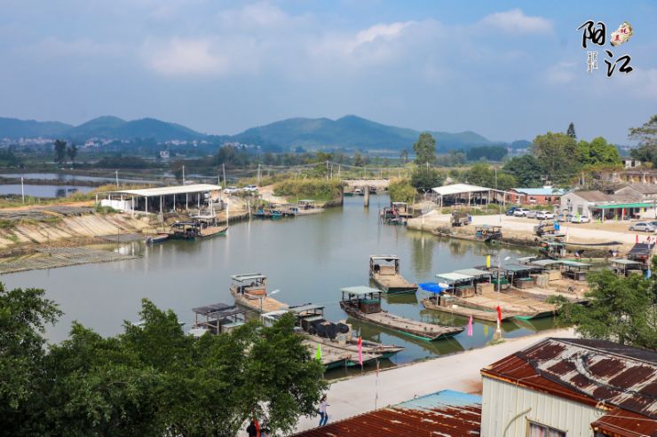 广东生蚝最好吃的地方,广东哪里吃生蚝最便宜