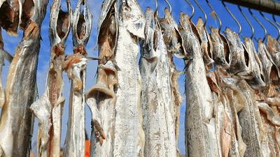 舟山带鱼特级多宽,舟山带鱼一般几指宽