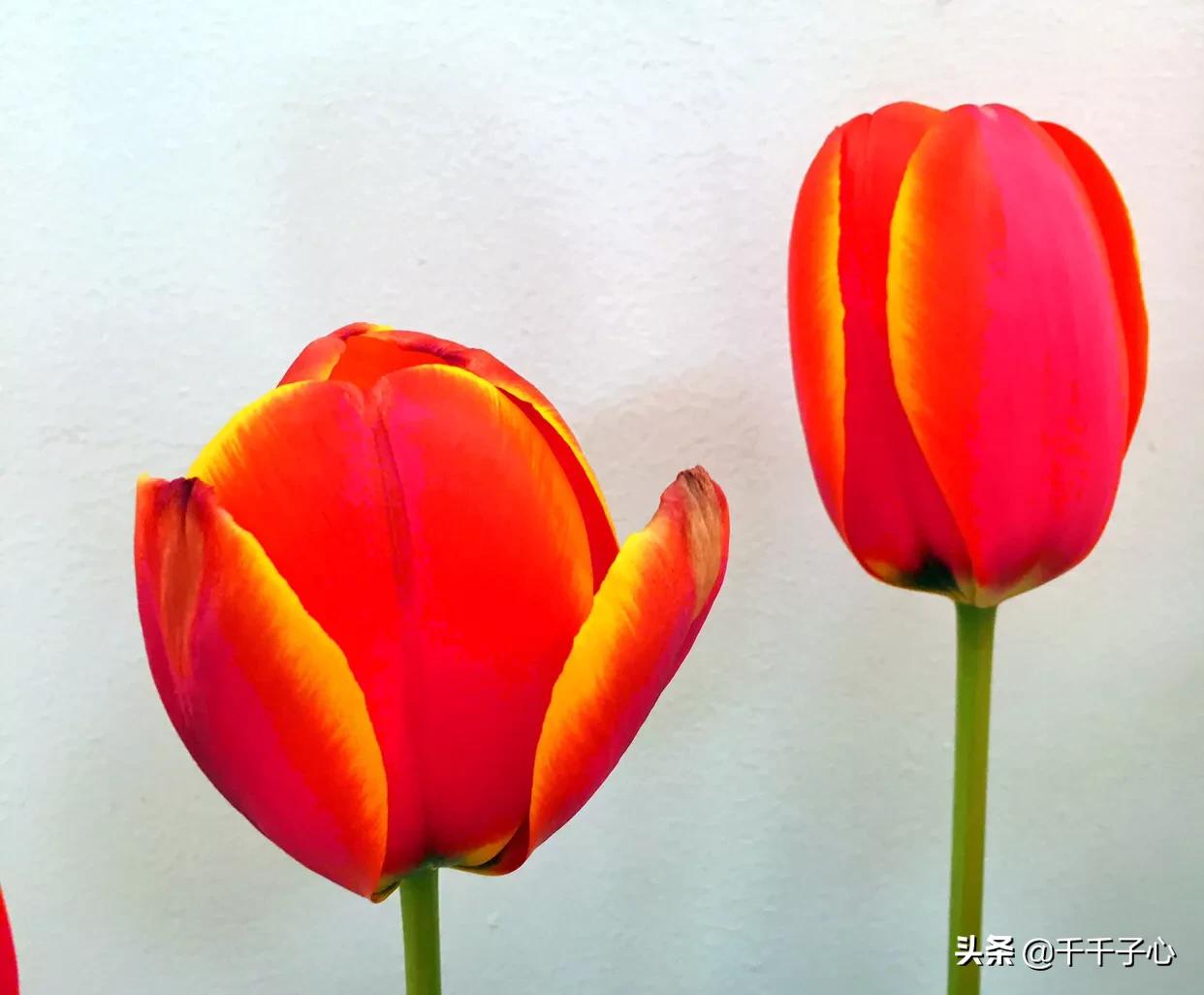 初恋约我见面我要去吗,如果初恋来找你怎么办