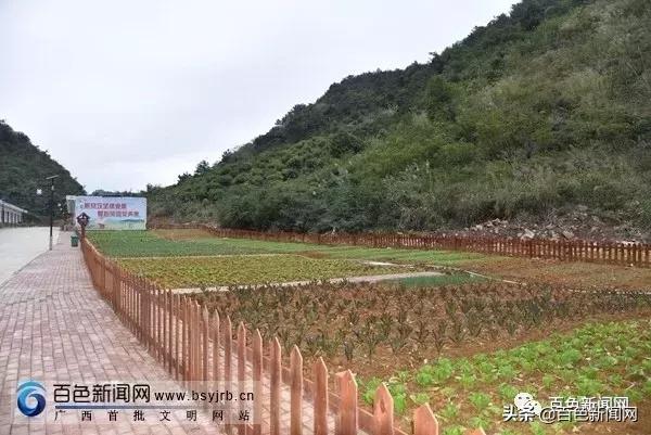 未来三年，百色乡村将大变样！我市将投资89.81亿元进行乡村风貌提升行动！