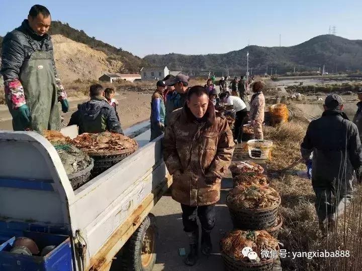 黑科技暴利生意,黑科技挣钱几万元