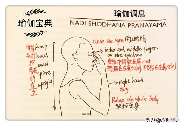 使元气通道畅通无阻之瑜伽清理经络调息法增强肺部功能抵抗疫病