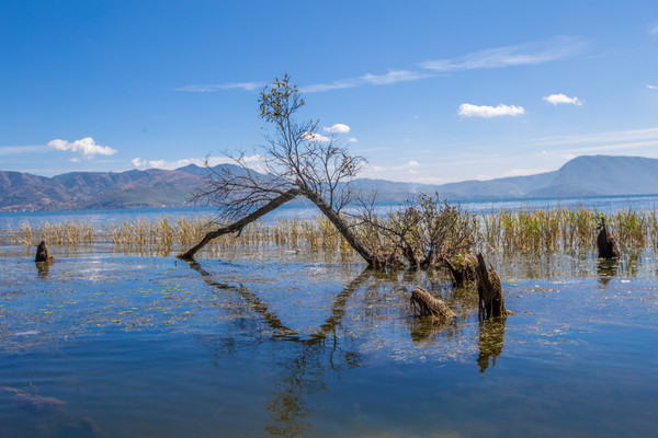 洱海最美的半岛,看洱海最好的风景地方在哪里