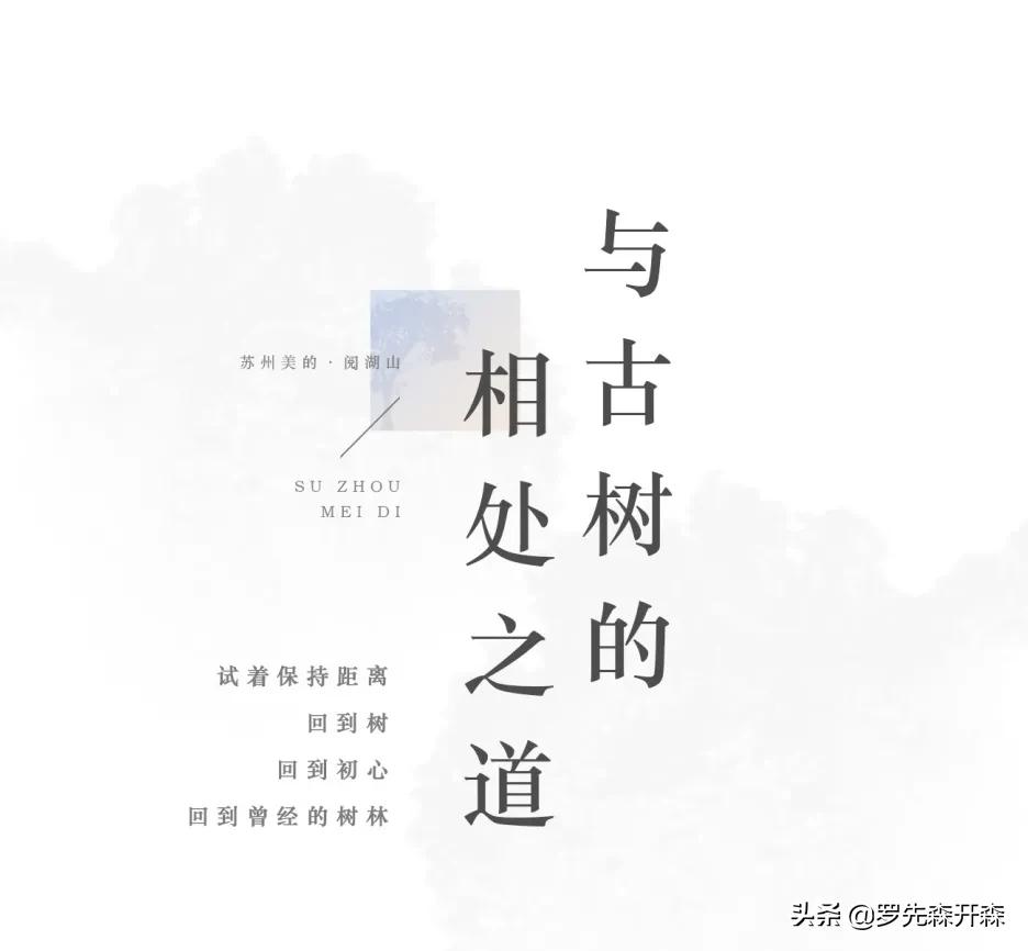 树之言木门,太湖度假区阅湖山价格