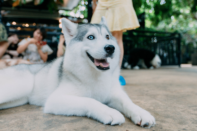 多次曼谷，整理了这份美食攻略，曼谷怎么吃，戳进来