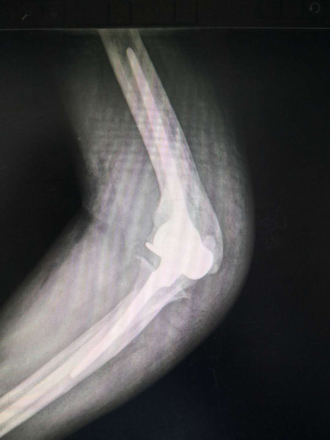 张忠根教授授课简介,李春根发改委