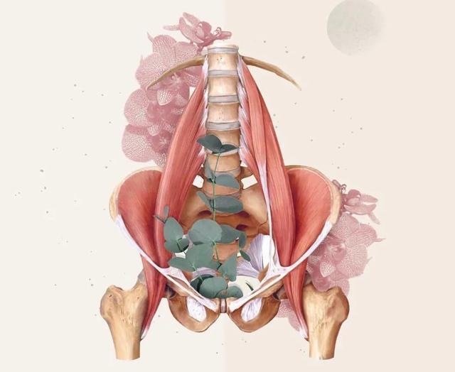 武磊是最强的前锋吗,武磊前锋有几种