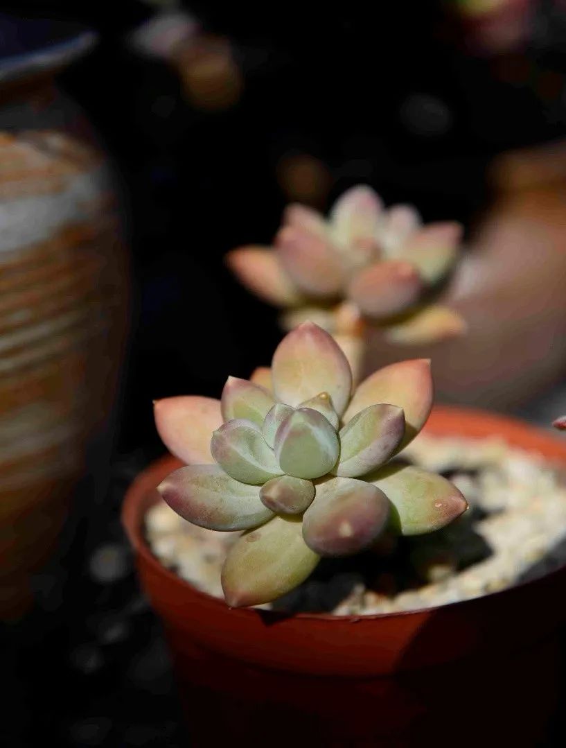 禁足的日子收获颇多,禁足