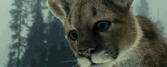 拯救不开心之类电影推荐,十部让人内心平静的电影