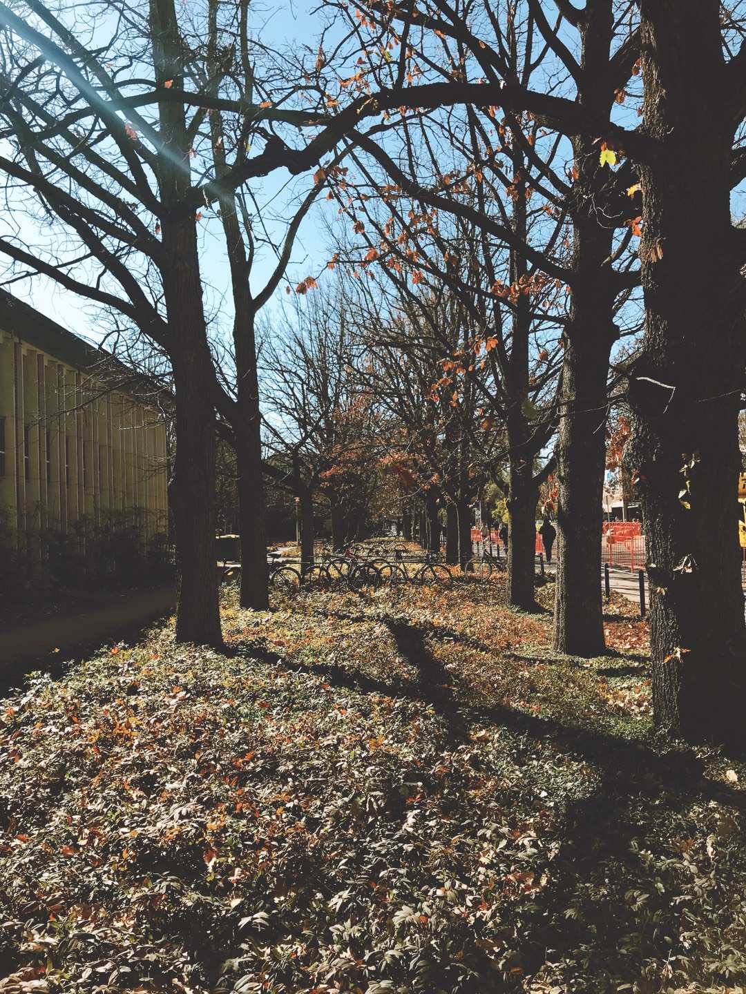 澳洲国立大学深度解析,澳洲国立大学怎么样