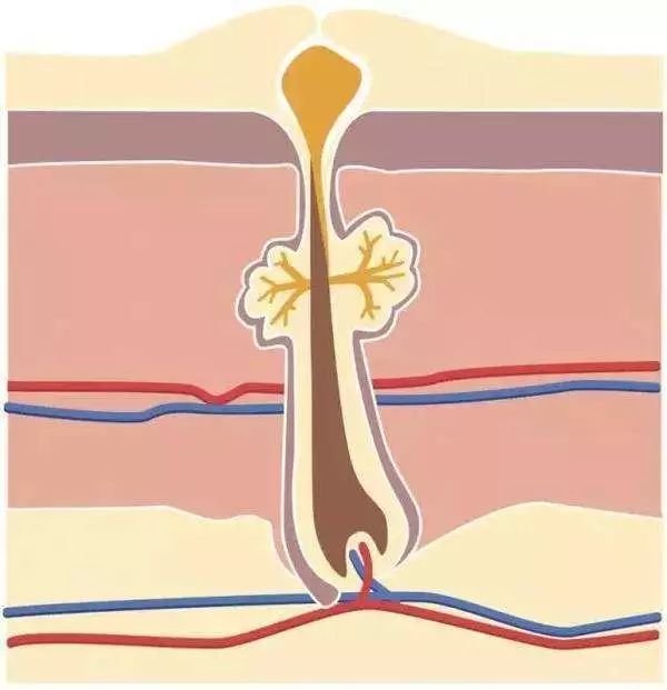 鸡皮疙瘩怎么拯救,治疗鸡皮肤最快的方法