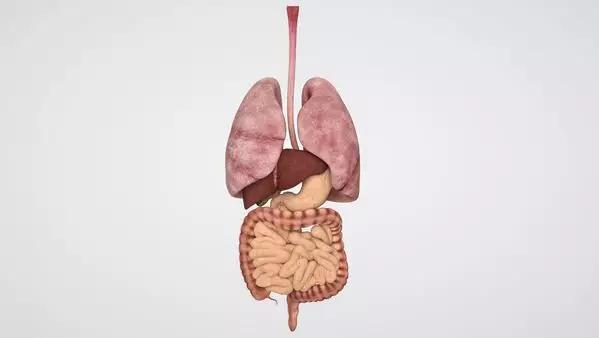 中医妇科常见病的辨证论治,14种病自我治疗