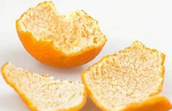 狗狗身上跳蚤反复出现怎么办,狗狗身上有跳蚤有什么处理方法