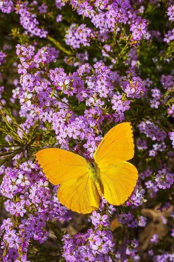 100个惊艳的美人盘点,中国最美的50个美人