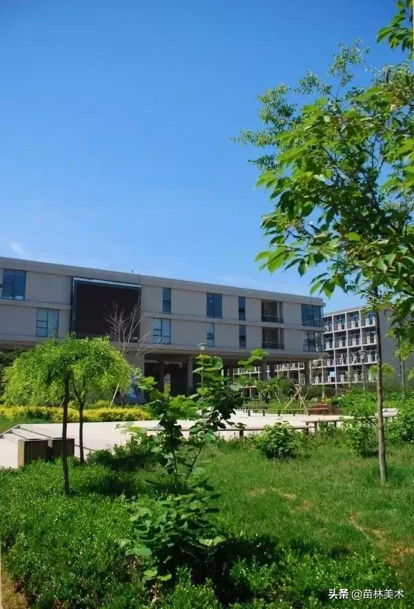 为什么好多人要上大专,为什么一定要上美院