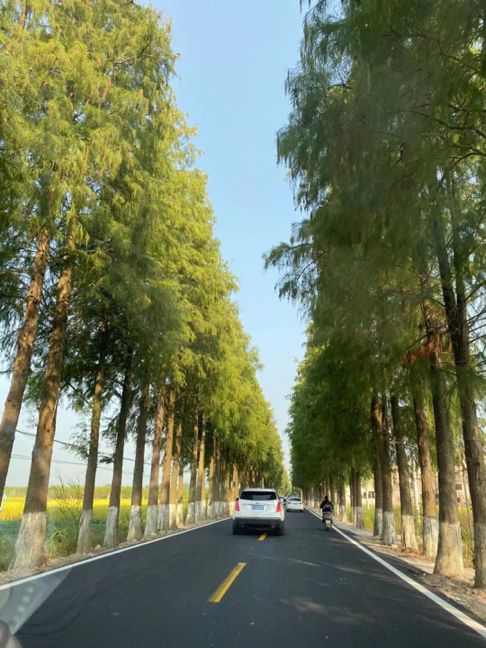 宝马1系车主真实体验,宝马1系车主实测