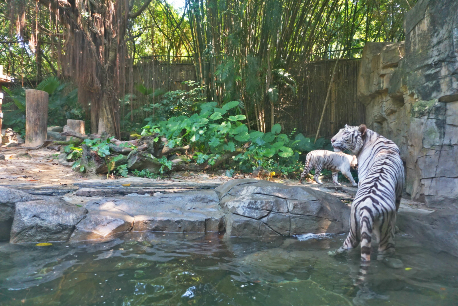 常州恐龙园和珠海长隆哪个好玩,珠海长隆海洋王国好玩吗