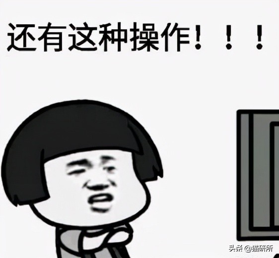 猫咪可以喂自制猫粮吗,用虫子做的食物