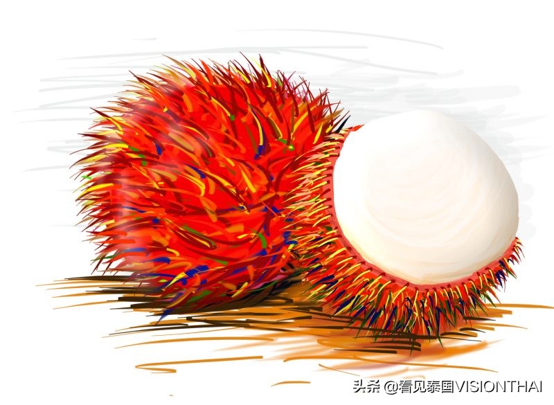 石榴泰国水果,好实惠水果泰国老树山竹