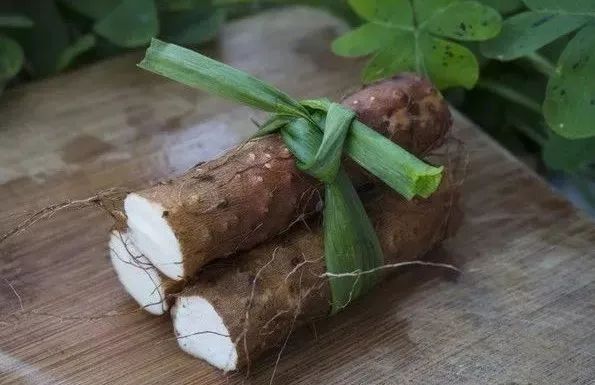 山药是药食同源的吗,山药属于药食同源吗