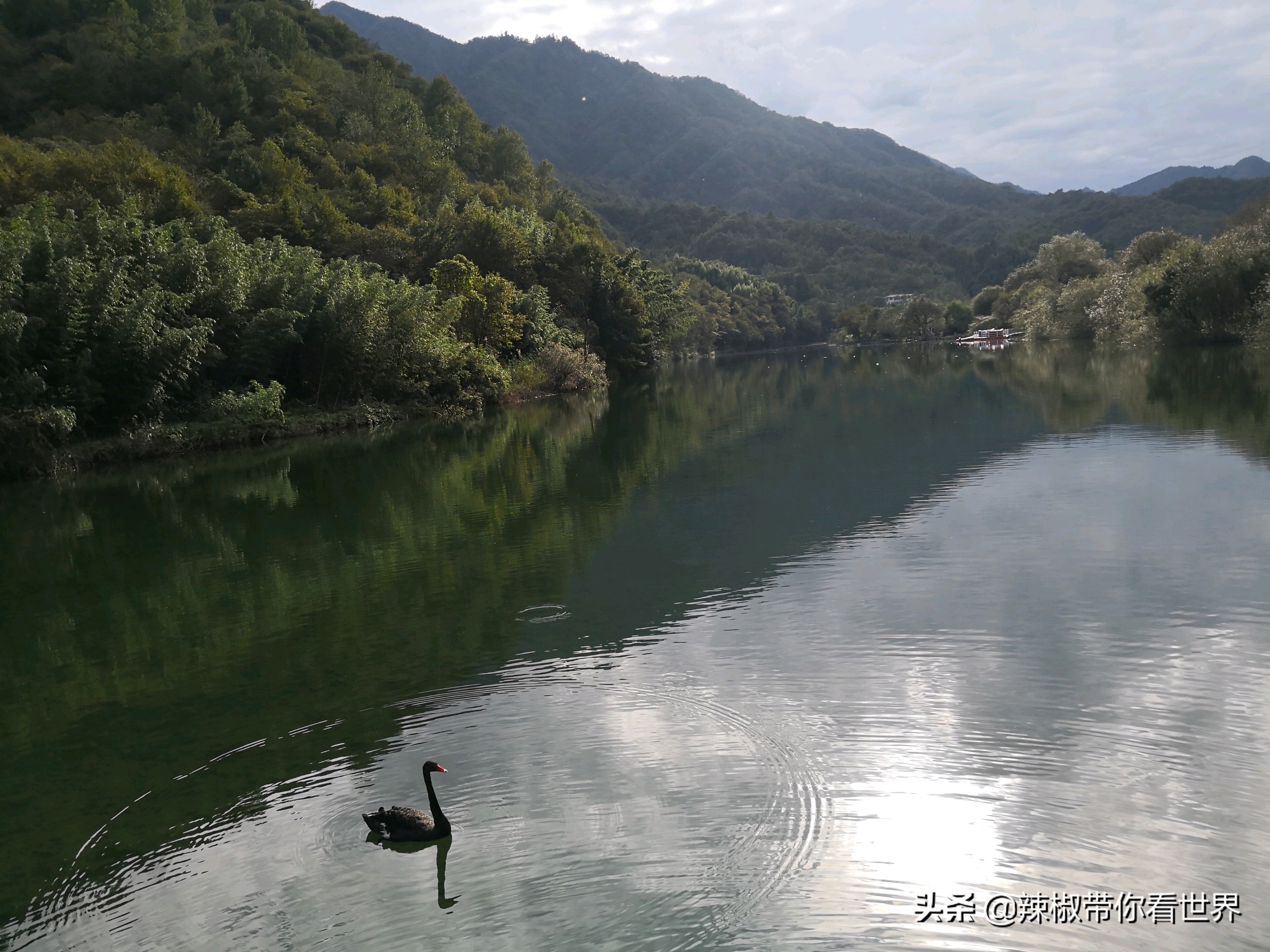 小城故事陇川,康县小城故事
