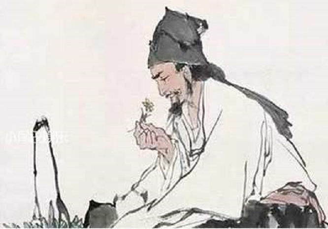 医学的奇妙之处,奇妙的人体科学实验