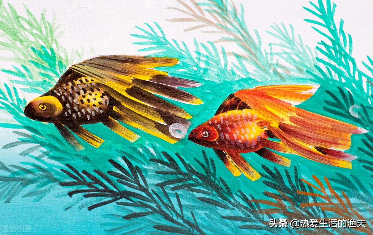 草金鱼长时间不喂食会饿死吗,草金鱼不喂食会不会饿死