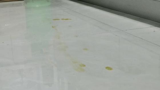 推荐一款真正实用的电动拖把,拖把电动扫拖一体一机4用