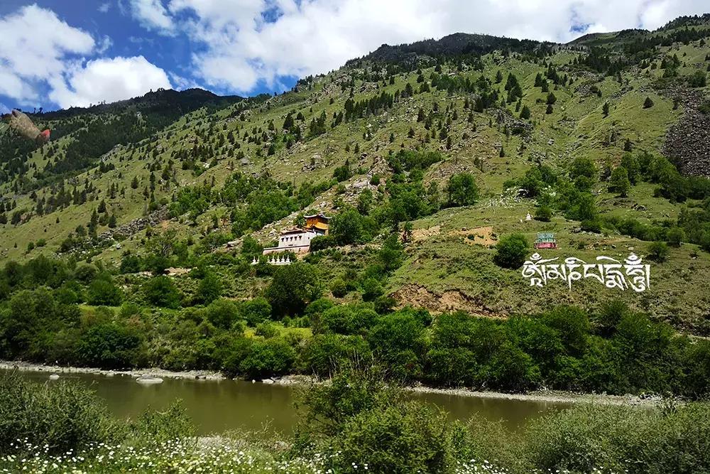 2.5l排量车还值得买吗,2.0t8at的都有哪些硬派越野