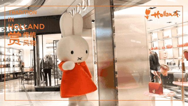 荷兰史基浦机场回国指南,史基浦机场攻略