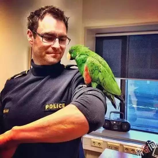 是时候公开我最嫉妒的这30万人了