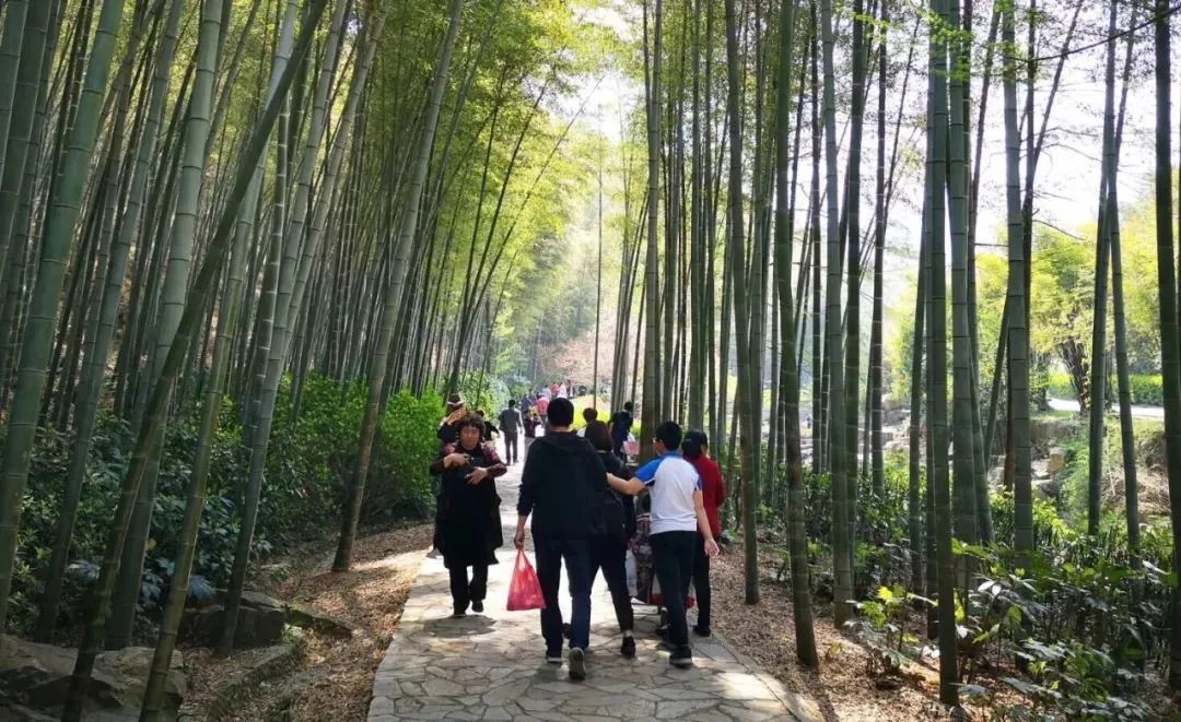 不负假期不负青春,不负韶光享受春日