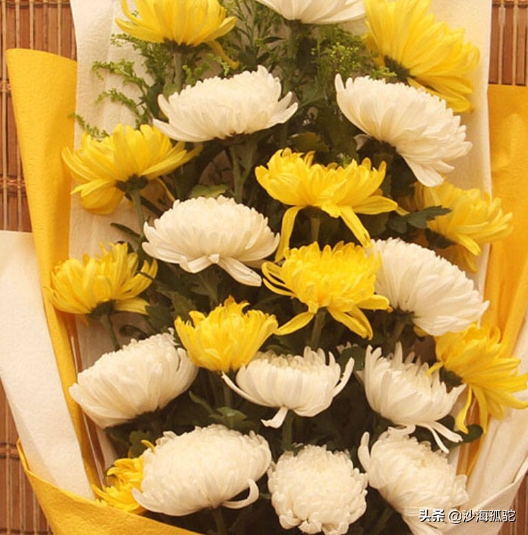 怀念天堂的慈母,怀念天堂慈母