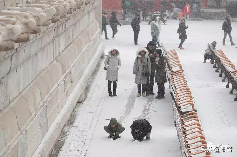 北京迎初雪9只熊猫,北京喜迎初雪去北京动物园看熊猫