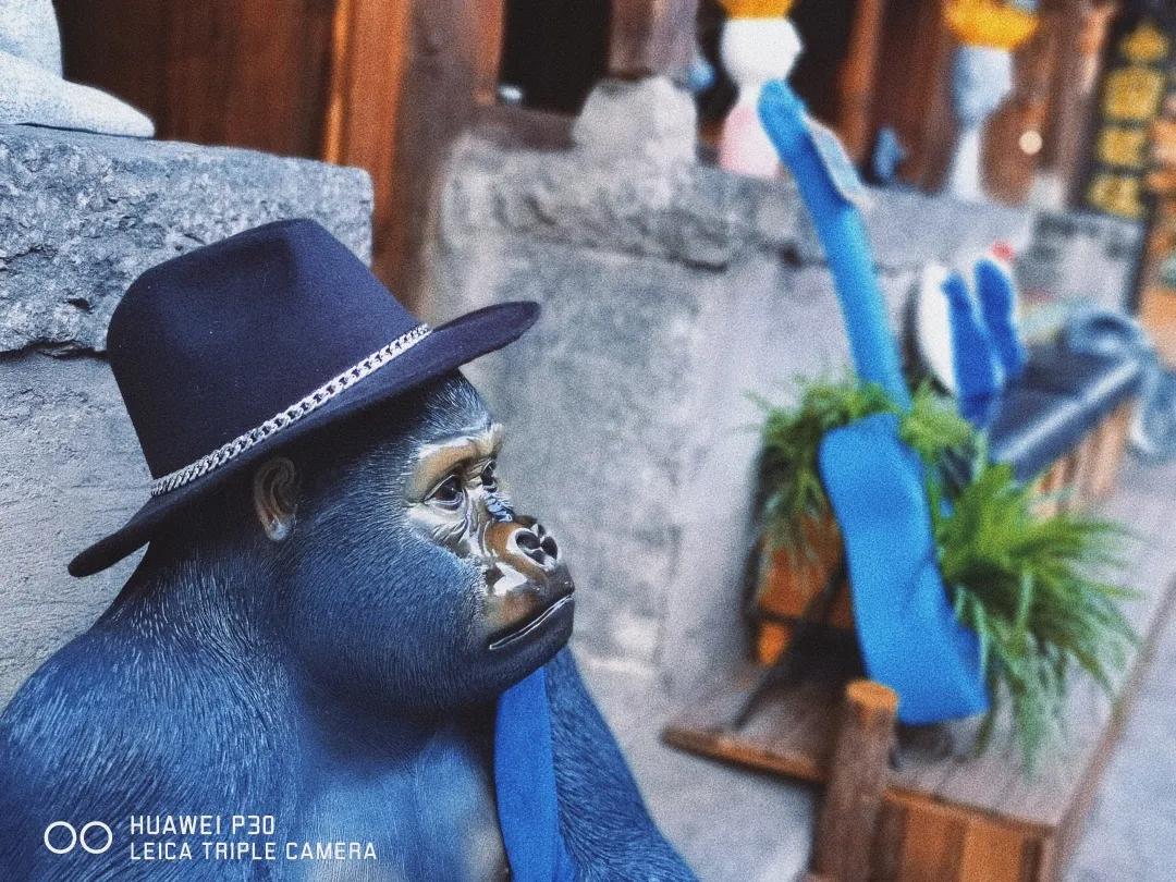 2023平遥国际摄影节获奖摄影作品,2009大理摄影展获奖作品