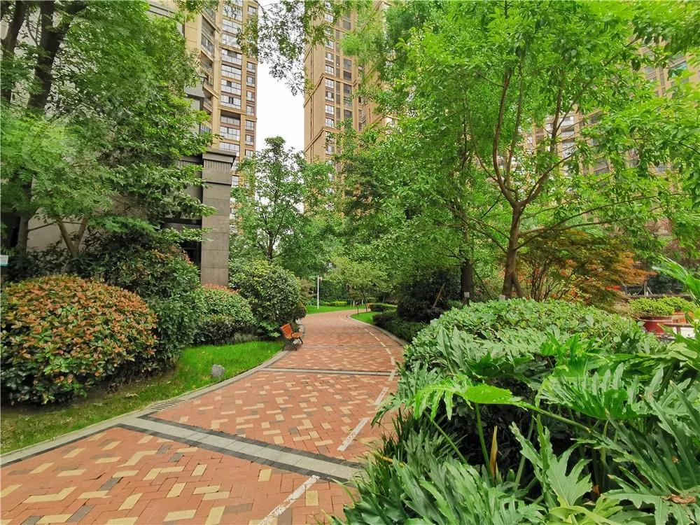 在双流,在双流没钱去哪里玩