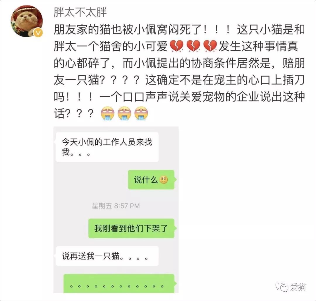 小佩猫窝事件,小佩闷死猫事件