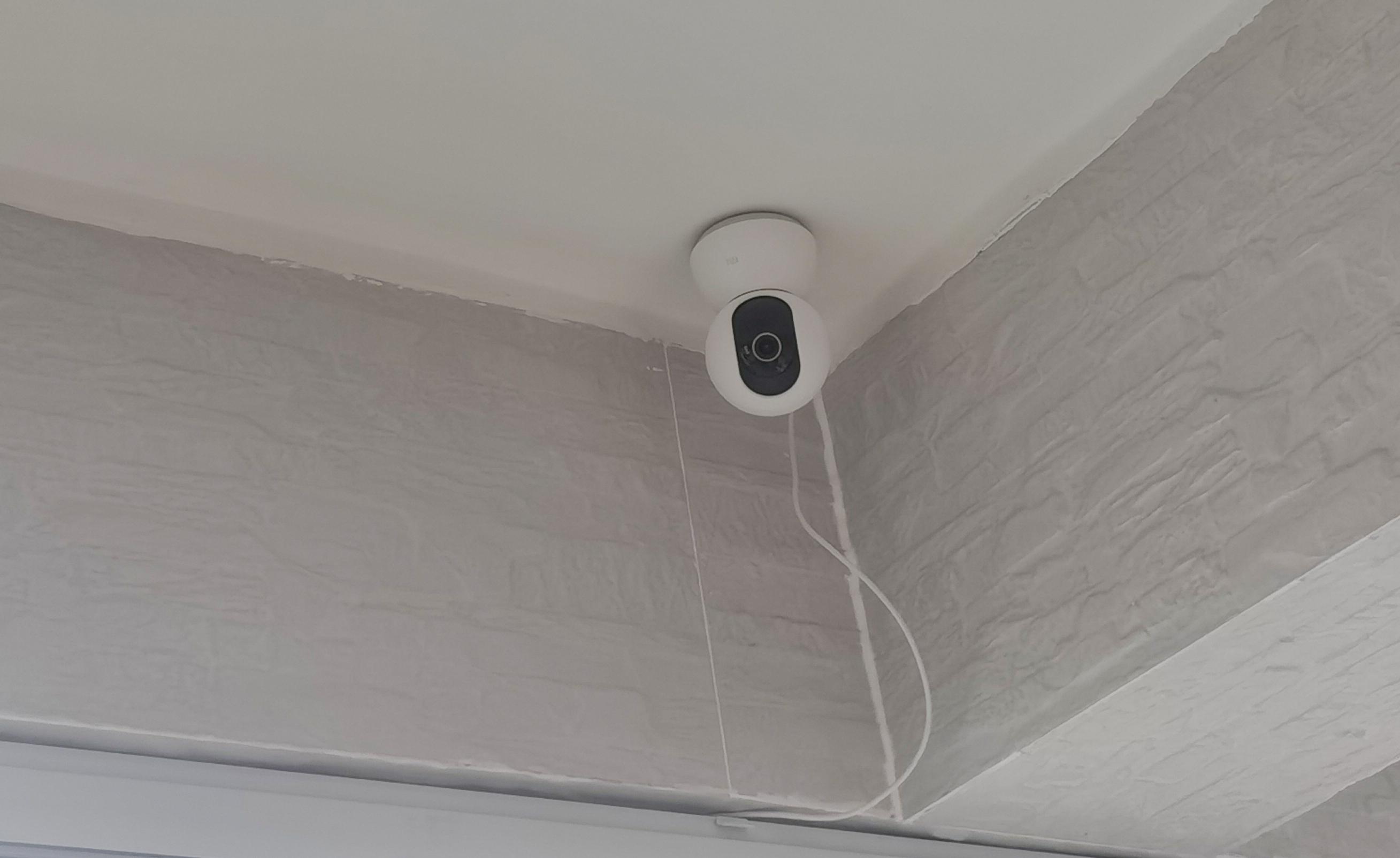 打造人宠共乐的家—“铲S官”的装修笔记