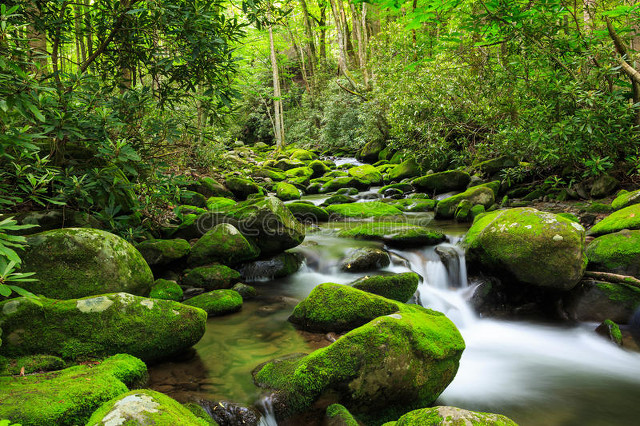 100首春天唯美经典诗词,描写春天花的优美句子诗词