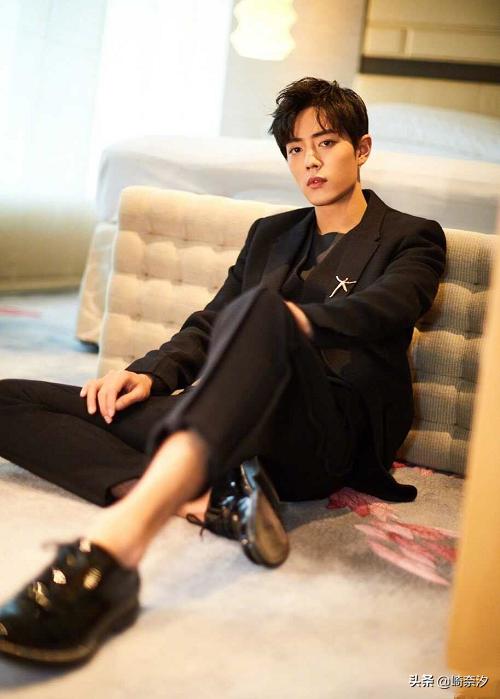 肖战代言数据分析,业内分析肖战代言版图