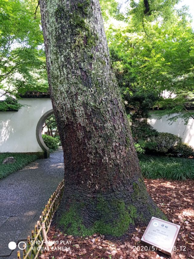 芒种种出新希望,芒种和幸福播种