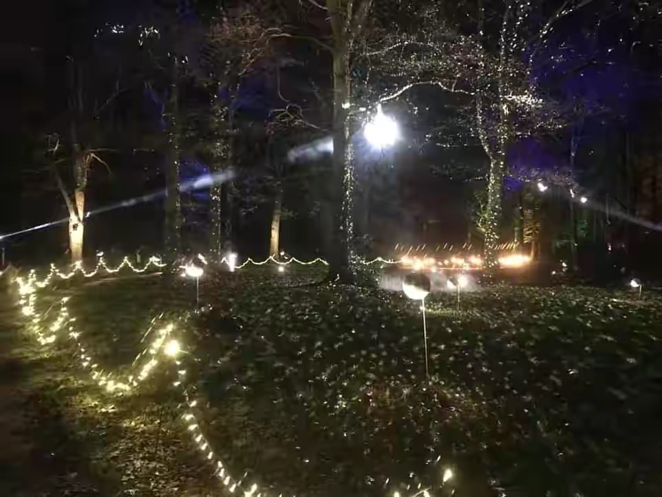 三小只随爸妈夜游记：路易坐威廉肩头笑开花，小夏美美秀长靴