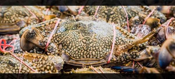 泰国旅游漫游,最新鲜玩转泰国攻略