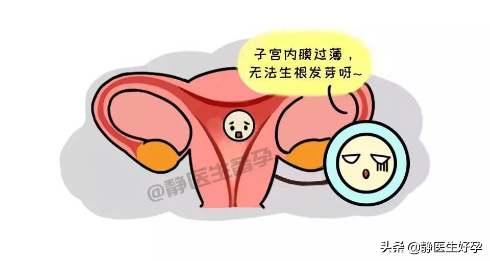 静医生备孕调理骗人吗,静医生团队调理怀孕可靠吗