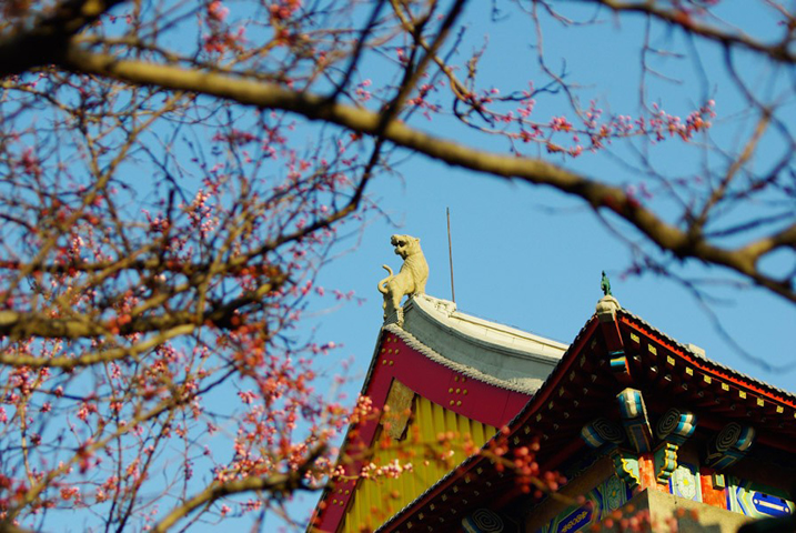 国防七子里面哪些是985和211,哈尔滨工程大学国防七子图片