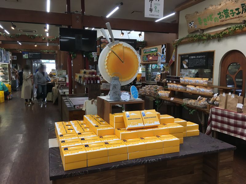 沿“线”旅行 | 富士山下遛娃好去处，好吃好玩儿还不贵