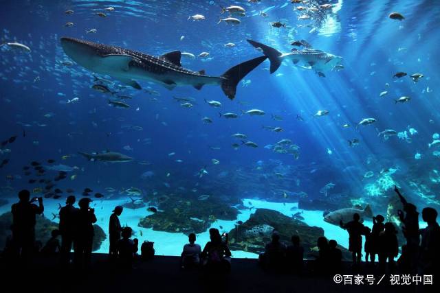 贵阳求婚最佳地点,最佳十种浪漫求婚方式