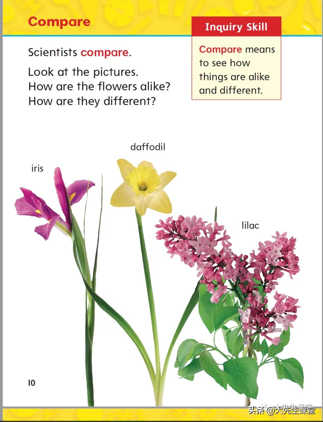 鍔犲窞science绉戝鏁欐潗,鍔犲窞绉戝science鏁欐潗